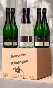 Probepaket Rheingaulinie